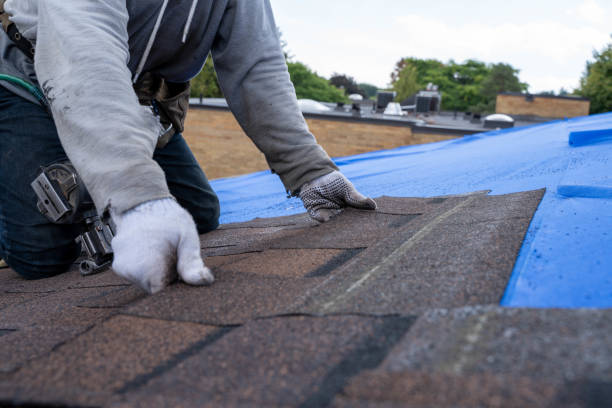 Best Storm Damage Roof Repair  in Timberwood Park, TX